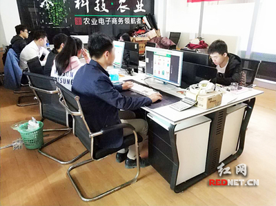 输血变造血 衡阳市雁峰区以计算机技术培训为抓手，走深走实产业扶贫路